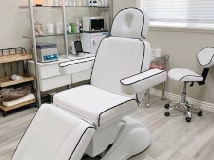 Chicago, IL professional license defense lawyer